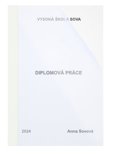 diplomová práce v termovazbě